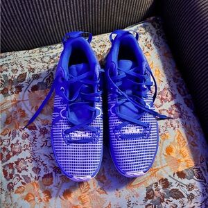 Nike Blue Mesh Sneakers